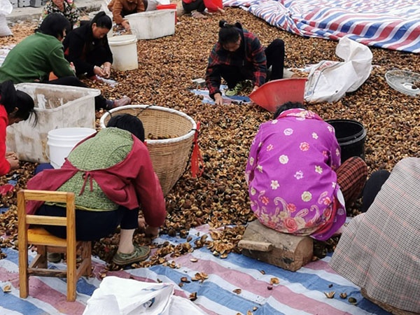 茶籽油（可粉色视频污污）